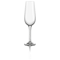 Champagne glass